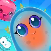 Jelly Fish Quest