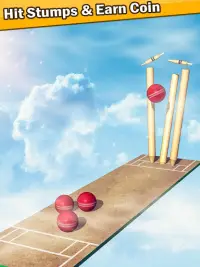 Top Cricket Ball Slope Game Screen Shot 8