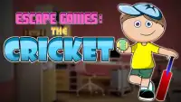 Escape Games : The Cricket Screen Shot 5