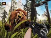 Veados selva Sniper rodagem Screen Shot 15