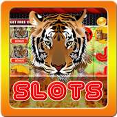 Lucky Tiger Slots Machine Free