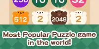 2048 BEAR - Free puzzle game Screen Shot 0