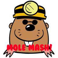 MoleMash