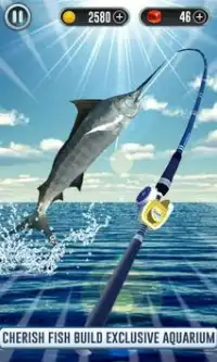 Fish Live Simulator 2019 - Fishing Ace Pro Pro Screen Shot 2