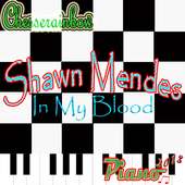 Shawn mendes piano
