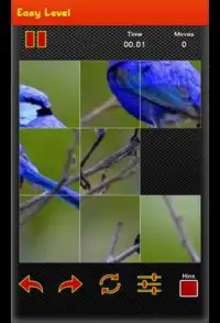 Picture Puzzle Game - Best Bird picture Screen Shot 2