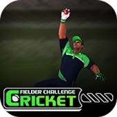 Cricket Fielder Challenge