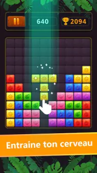 Block Jewel Puzzle Screen Shot 0