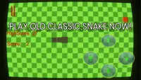 Old Snake Screen Shot 0