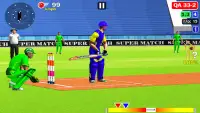 World Cup Cricket Champions 3D Screen Shot 2