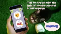 Cat Language Translator Simulator - Talk to Pet Screen Shot 1