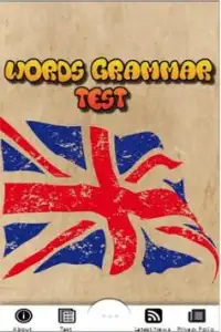 Words Grammar Test Screen Shot 0