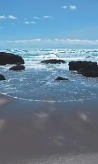 Mar de Tasmania rompecabezas Screen Shot 0