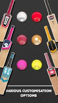 World Cricket Ball Challenge Screen Shot 0