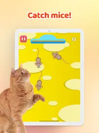 Games for Cat－Toy Mouse & Fish Screen Shot 7