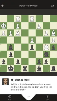 Chess - Play and Learn Screen Shot 3