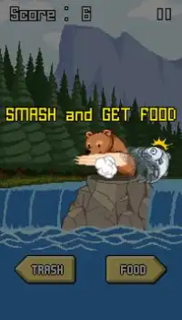 Hungry Bear in the Forest Screen Shot 2