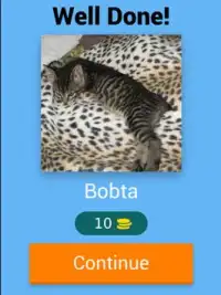 Cat Breeds Quiz - Guess the Cat Breed Screen Shot 9