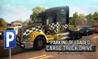 Loaded  Truck Drive Simulator Screen Shot 0