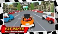 Cat Racing Fever 🏁 City Racing 3D Frenzy Screen Shot 2