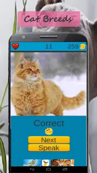 Kedi ırkları oyunu Screen Shot 4