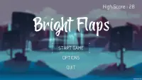 Bright Flaps Screen Shot 0