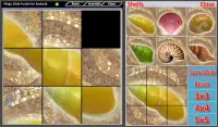 Magic Slide Puzzle Shells Screen Shot 1