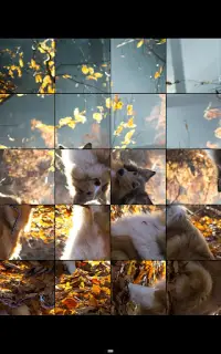 Tap & Turn: Dogs & Puppies Free Picture Game Screen Shot 1