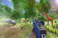 Animal Hunting Safari Shooting Screen Shot 2