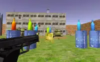 Furious Bottle Shooter: Shooting Game Screen Shot 7