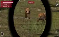 Wild Jungle Animal Sniper Hunt Screen Shot 3