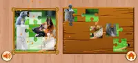 Dog & Cat Puzzle - Rompecabezas-Puppy kitty Doggy Screen Shot 2