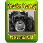 Talking Monkey - Cheeky Monkey
