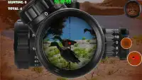 Bird sniper - hunting season Screen Shot 2