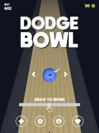 Dodge Bowl Screen Shot 8