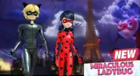 Miraculous Ladybug : Adventure Cat Noir 3D Screen Shot 2