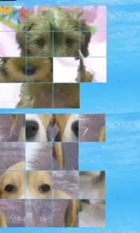 puzzle dog a(4x4) Screen Shot 0