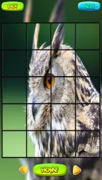 Owl Puzzle Games Screen Shot 3
