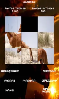 Horses Puzzle, find out which one is hidden. Screen Shot 6