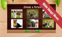 All Dog Games: Kids Screen Shot 5