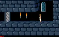 Prince of Persia: The Great Escape (v1.1) Screen Shot 3