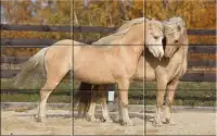 Puzzle - Beautiful Horses Screen Shot 3