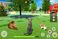 Cat Family Simulator: Life of Wild Cat Screen Shot 0