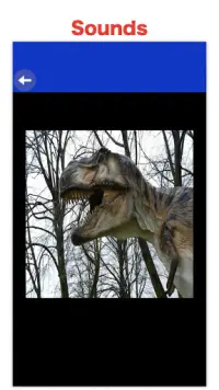 Dunia Dinosaur 🦖 Permainan Dino Untuk Kanak-Kanak Screen Shot 2