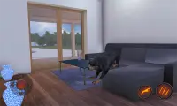 Simulador de perro rottweiler Screen Shot 0