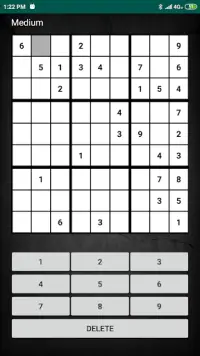 Sudoku Champion Screen Shot 0