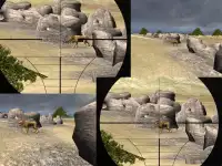 Lion Sniper Hunting Screen Shot 2
