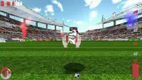 Penalty shoot 3D : Goalkeeper Screen Shot 3