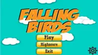 Falling Birds Screen Shot 0