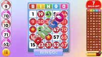 Bingo - Offline Bingo Games Screen Shot 2